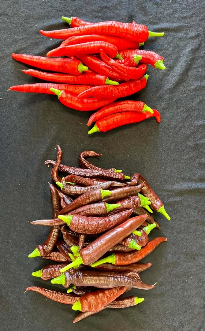 Peppers